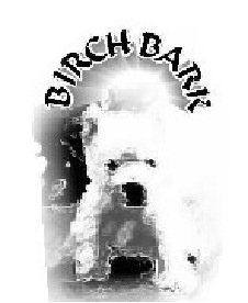 birch bark logo 