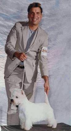 ch birch bark blizzard of oz